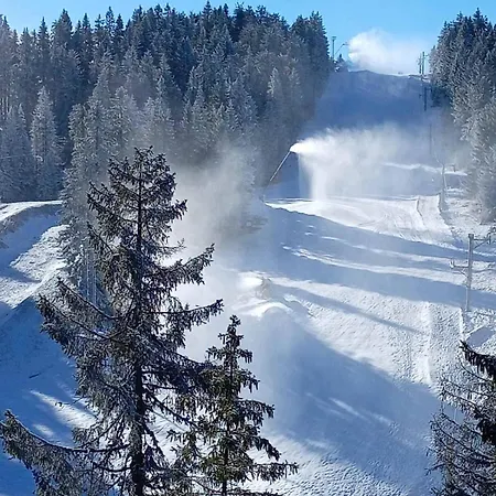 Woodside Woodside Free Parking & , Free Locker Apartment Kopaonik
